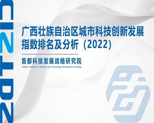 白丝性交图片【成果发布】广西壮族自治区城市科技创新发展指数排名及分析（2022）